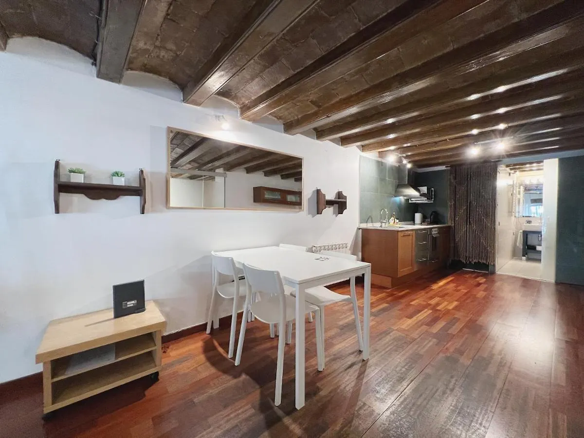 Stay U-Nique Apartments Placa Universitat バルセロナ